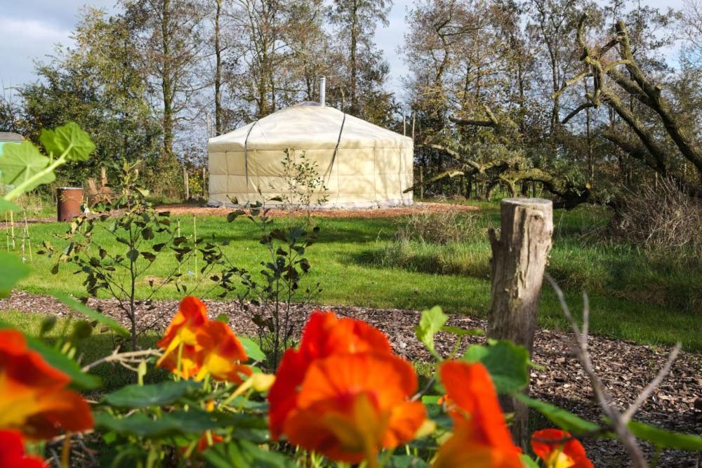 Yurt Klyndobbe Bed & Breakfast Veenwoudsterwal ภายนอก รูปภาพ
